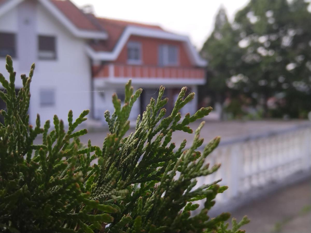 Venera apartman - Bed and Breakfast Ploča