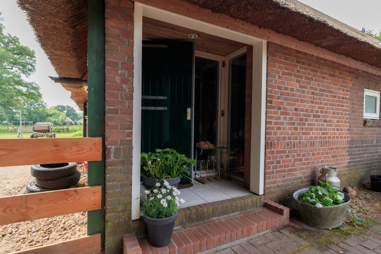 Het Grote Paard - Bed and Breakfast Havelte
