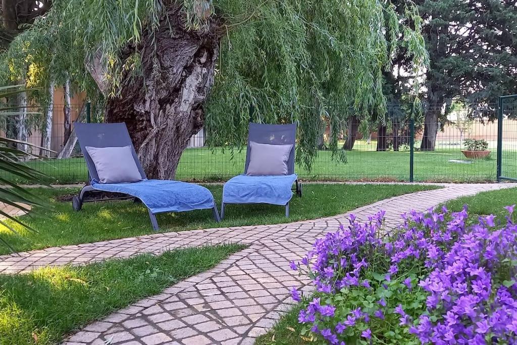 Grand studio lumineux, entièrement rénové avec jardin - B&B Caumont-sur-Durance