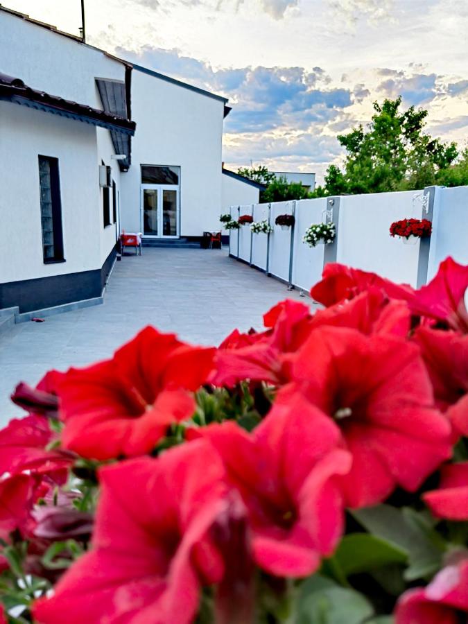 White House - B&B