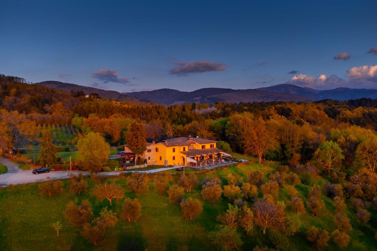 Tenuta Risalpiano - Ferienwohnung