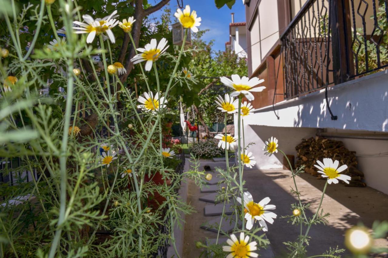 Petros House - B&B