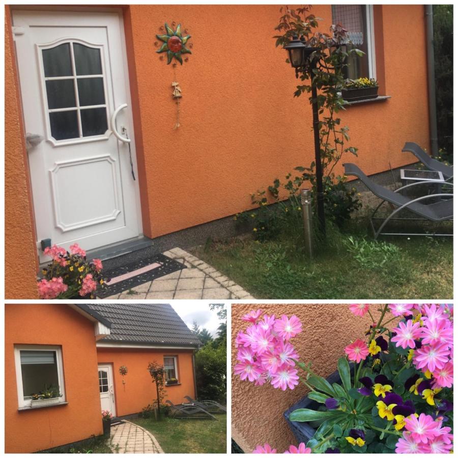 Ferienhaus mit Terrasse - Insel Usedom - B&B Trassenheide