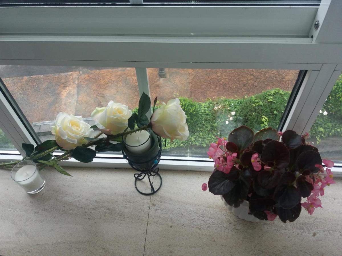 Apartamento TEO - B&B Cacheiras