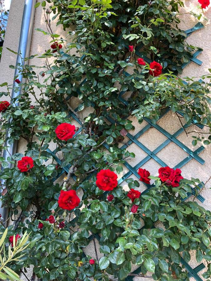 EslaRoza - Bed and Breakfast Voisey