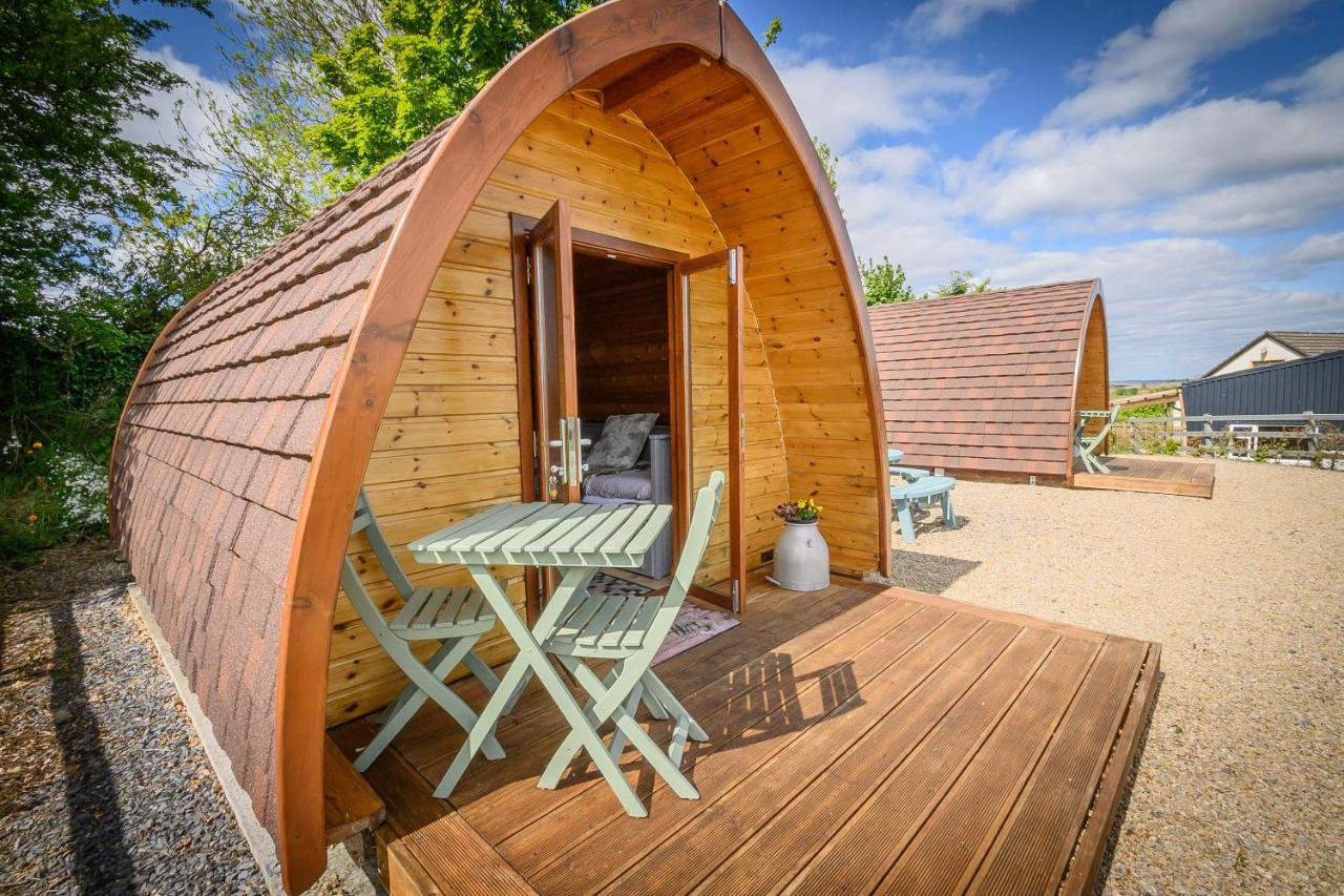 B&B Westport - Westport Glamping at Doon Angus Farm - Bed and Breakfast Westport