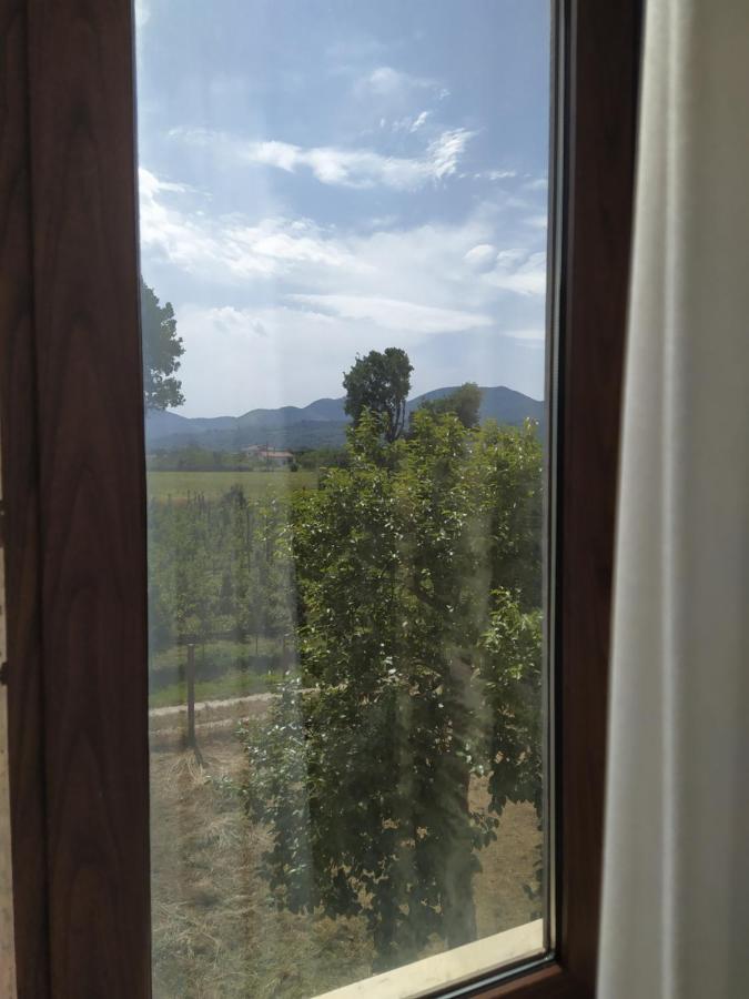 Comfort Driepersoonskamer met Douche