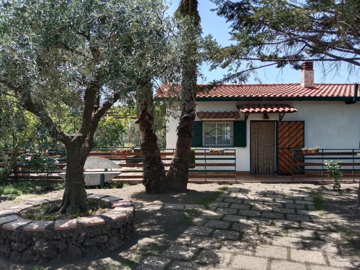 Risveglio sull'Etna - Bed and Breakfast Belpasso