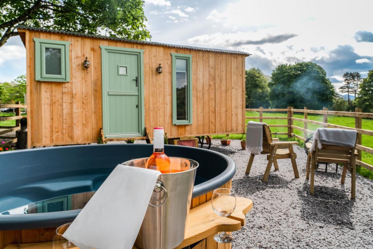 B&B Caernarfon - Elephant View Shepherds Hut - Bed and Breakfast Caernarfon