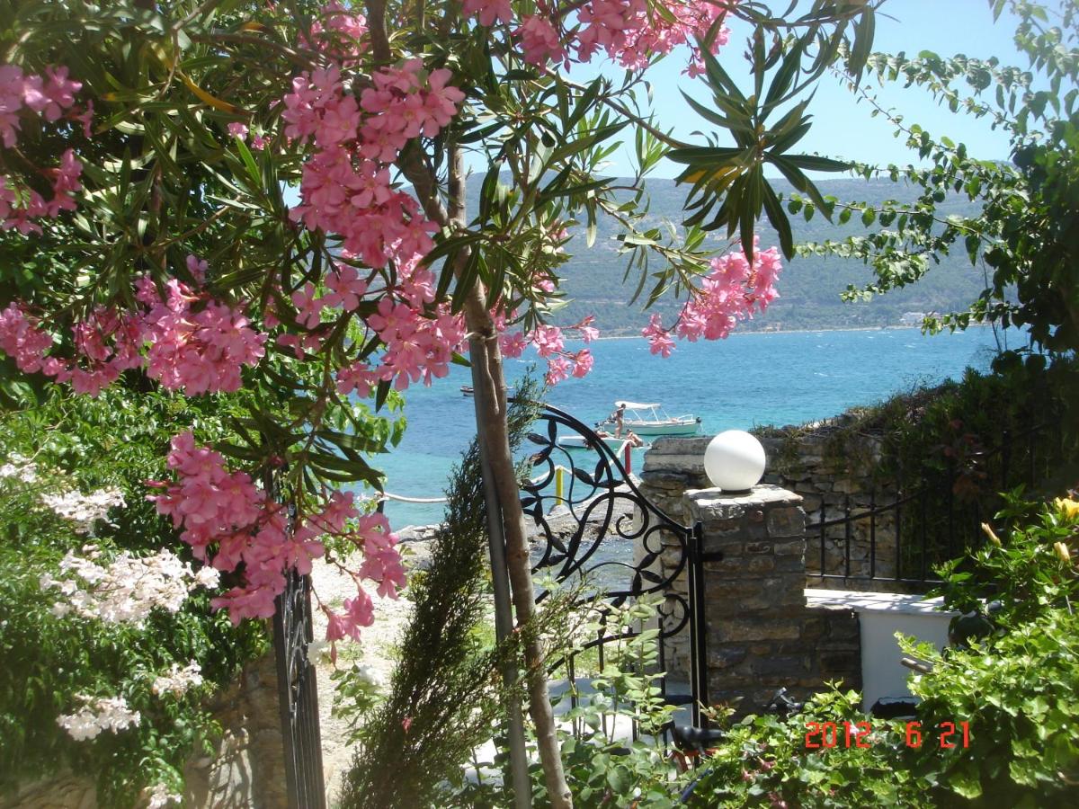 B&B Samos - Roditses Beach Sea Front Apartments - Bed and Breakfast Samos