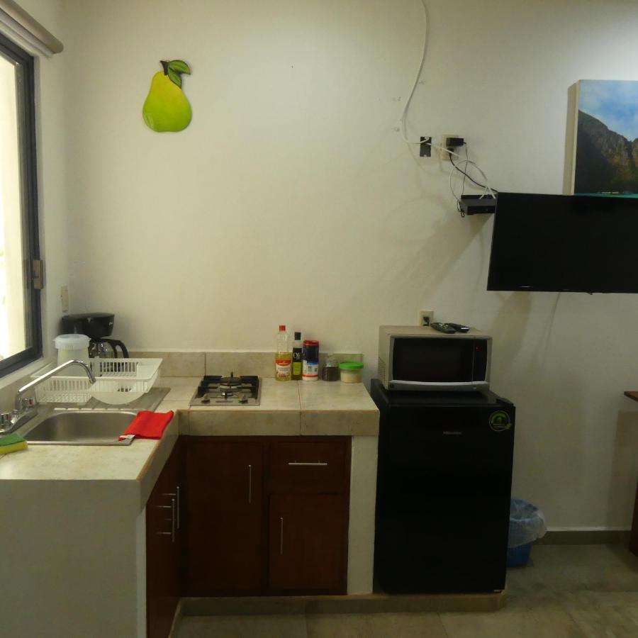 Studio Apartment with King Bed