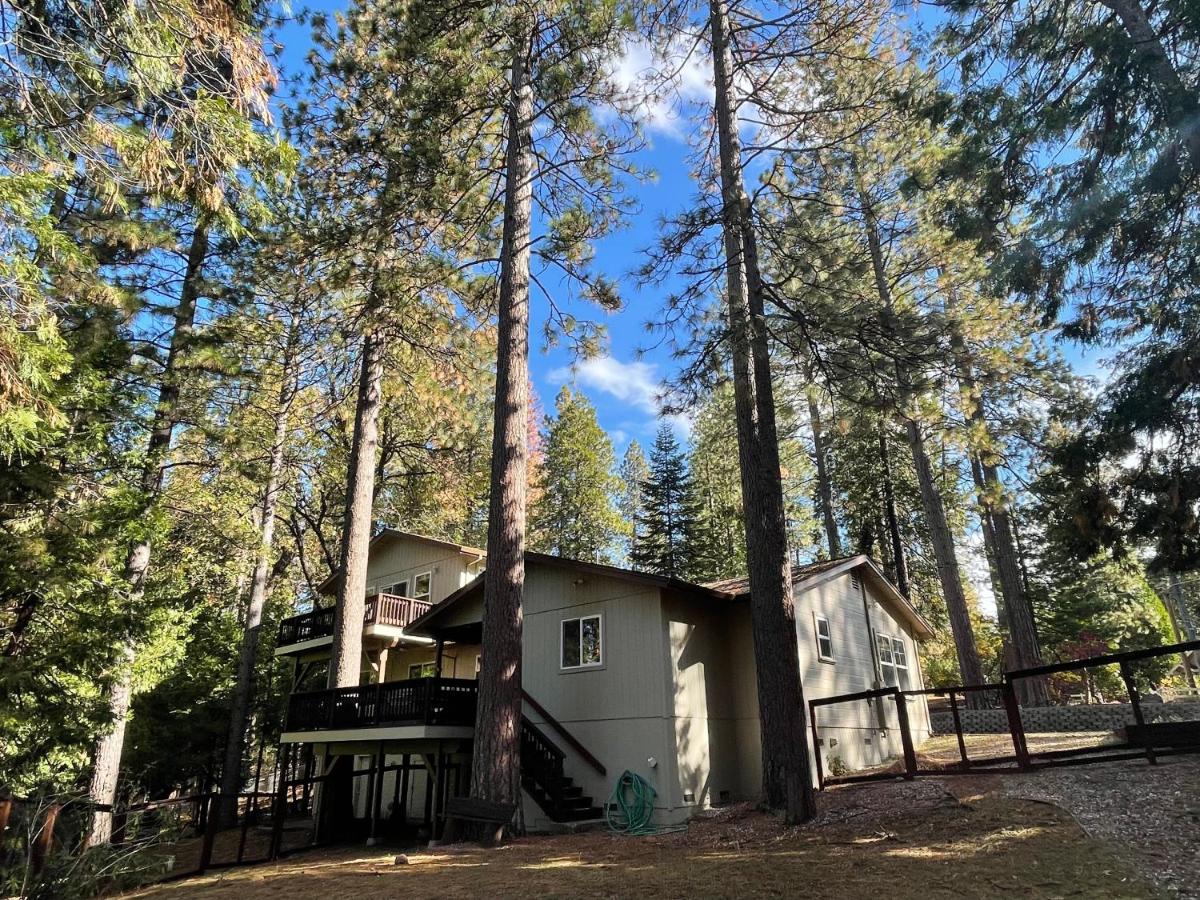 Cozy Cabin in Arnold ! - Bed and Breakfast