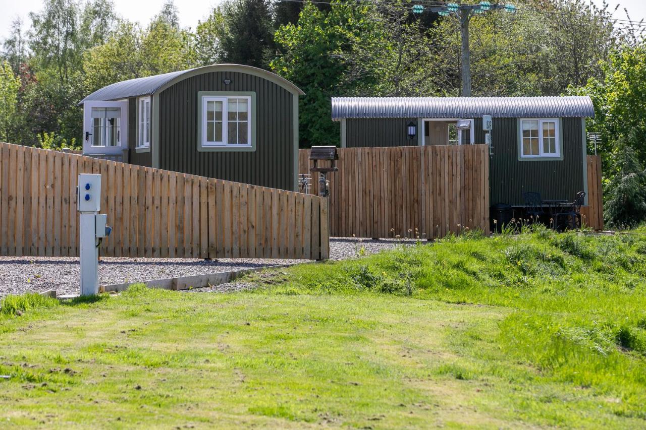 B&B Forfar - Forfar Glamping, Foresterseat - Bed and Breakfast Forfar