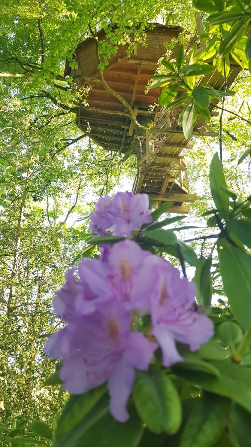 Le Domaine de Wail - Legends Resort - B&B