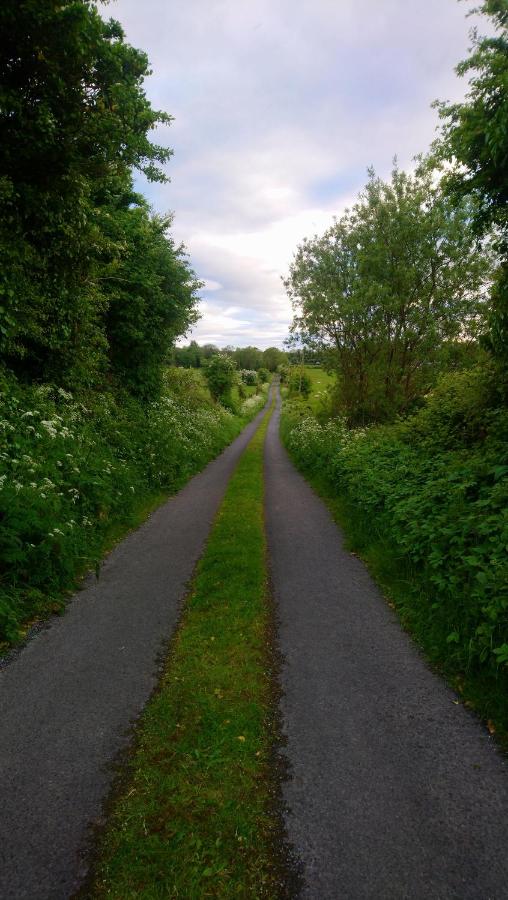 The Bothy - Chambres d’hôtes Belmont