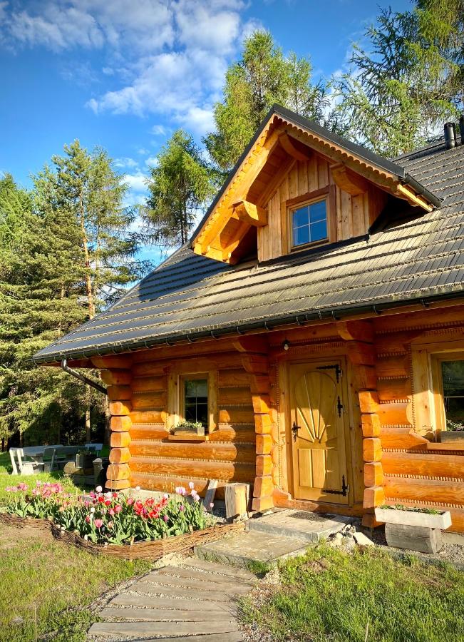 Dom z drzew - B&B Istebna