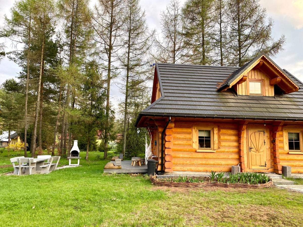 Dom z drzew - B&B