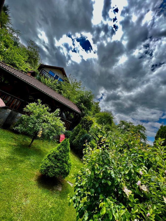 Cabana Vânătorilor - B&B Poiana Mărului