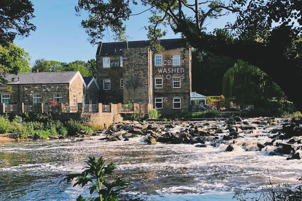 Artist's Riverside Home - Chambres d’hôtes Shipley