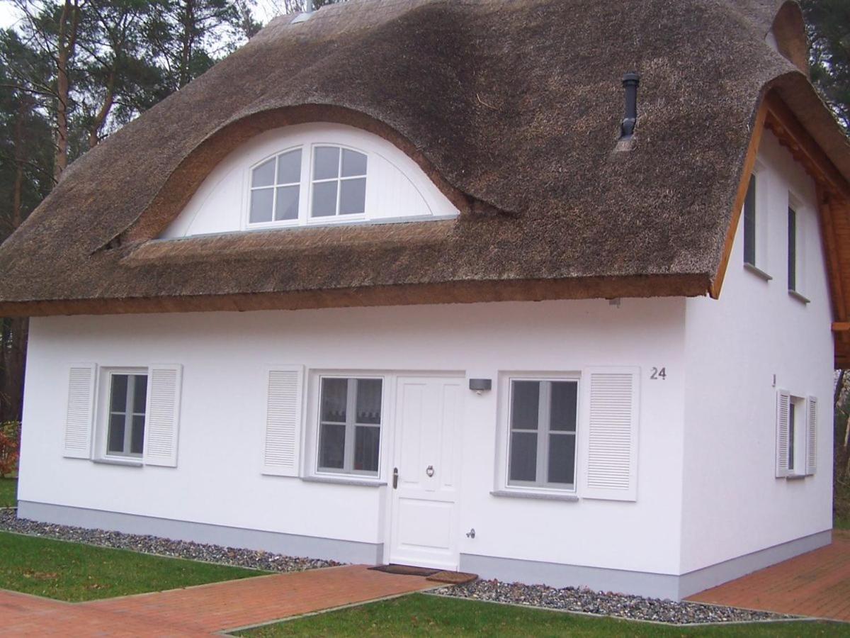Weißes Traumhaus - Ferienwohnung