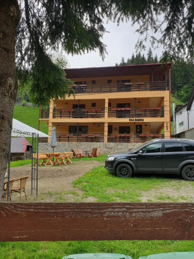 Vila Bianca Dragusin - B&B