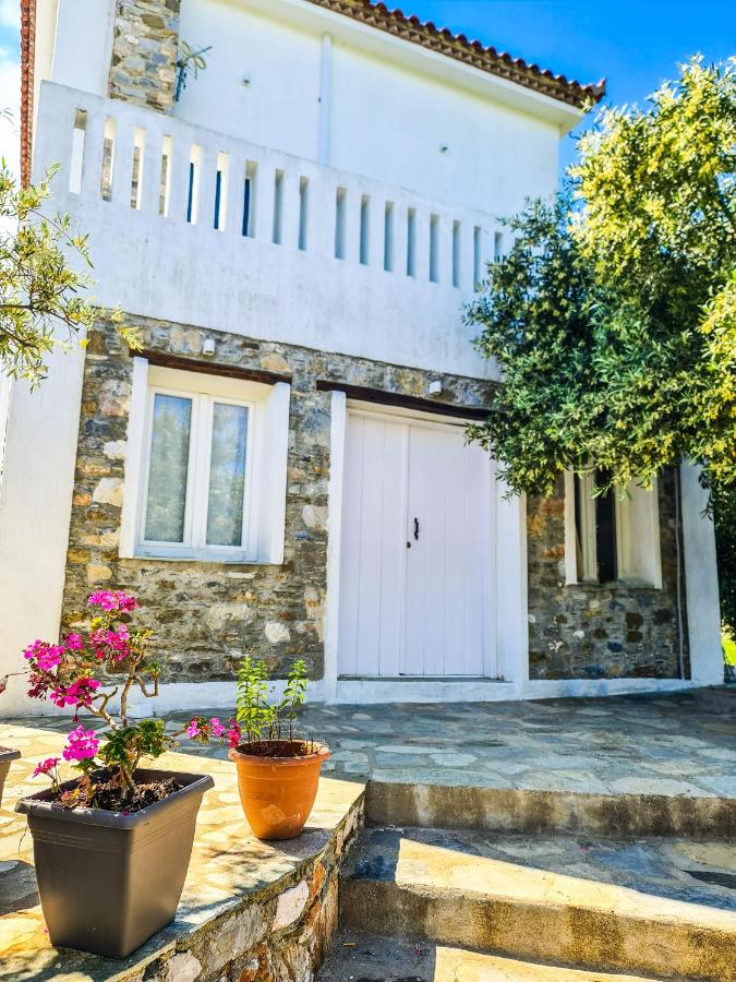 Lionaki House - Ferienwohnung