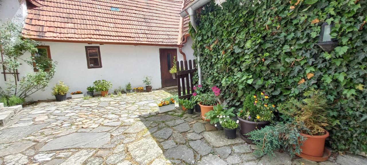Penzion Merlin - B&B