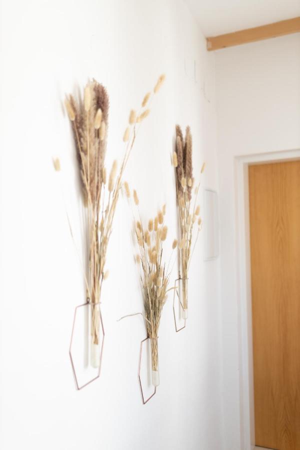 Apartmán v srdci Znojma „Jako doma“ - B&B