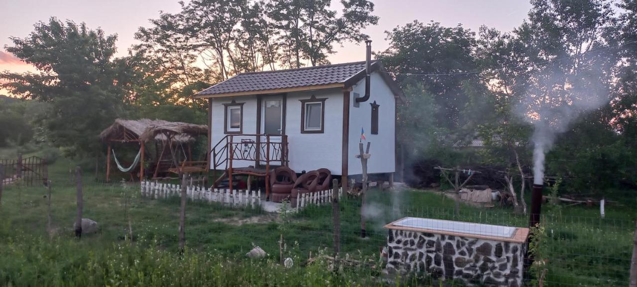 B&B Plopi - Căsuța Sara- the story of nature - Bed and Breakfast Plopi