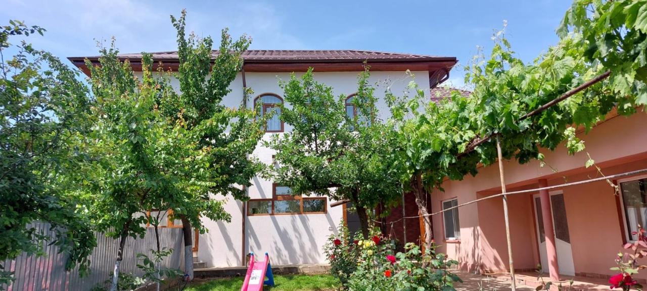 B&B Niculiţel - Agropensiunea Olteanu - Bed and Breakfast Niculiţel