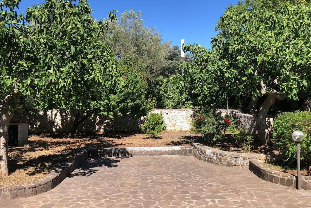 Villa Syria - Monopoli - B&B