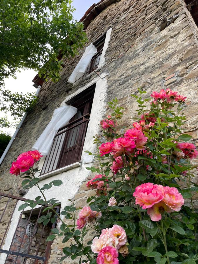 B&B Prasco - Orbregno Country Houses with Personal Wine Cellar - Bed and Breakfast Prasco