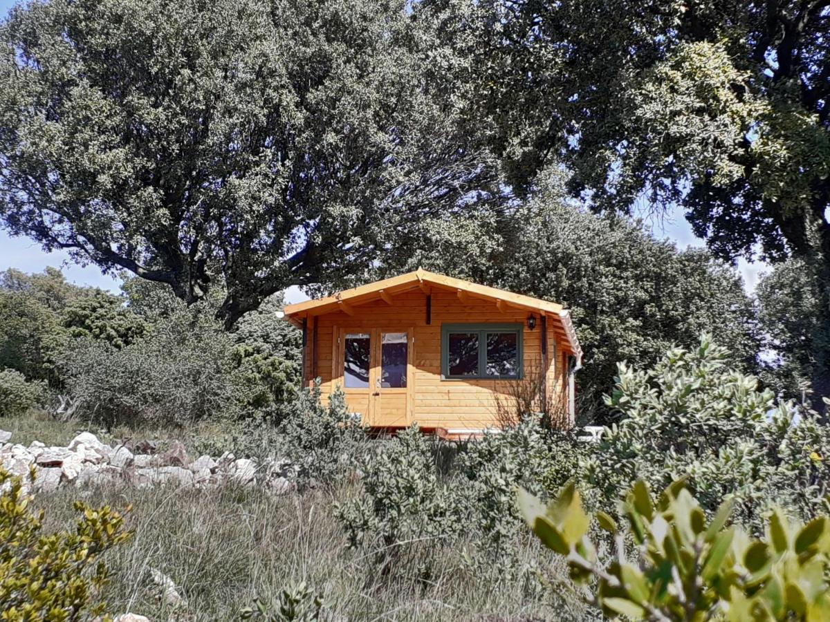 Le Chalet - Ferienwohnung