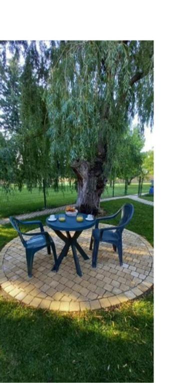 Grand studio lumineux, entièrement rénové avec jardin - B&B Caumont-sur-Durance