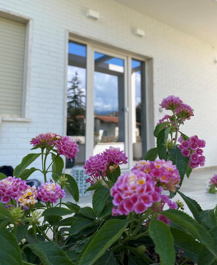 Villa D Erna Marina di Pietrasanta - B&B