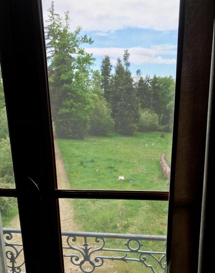 King Room with Garden View