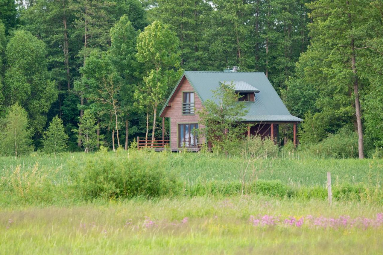 Domek w Biebrzańskim Eldorado
