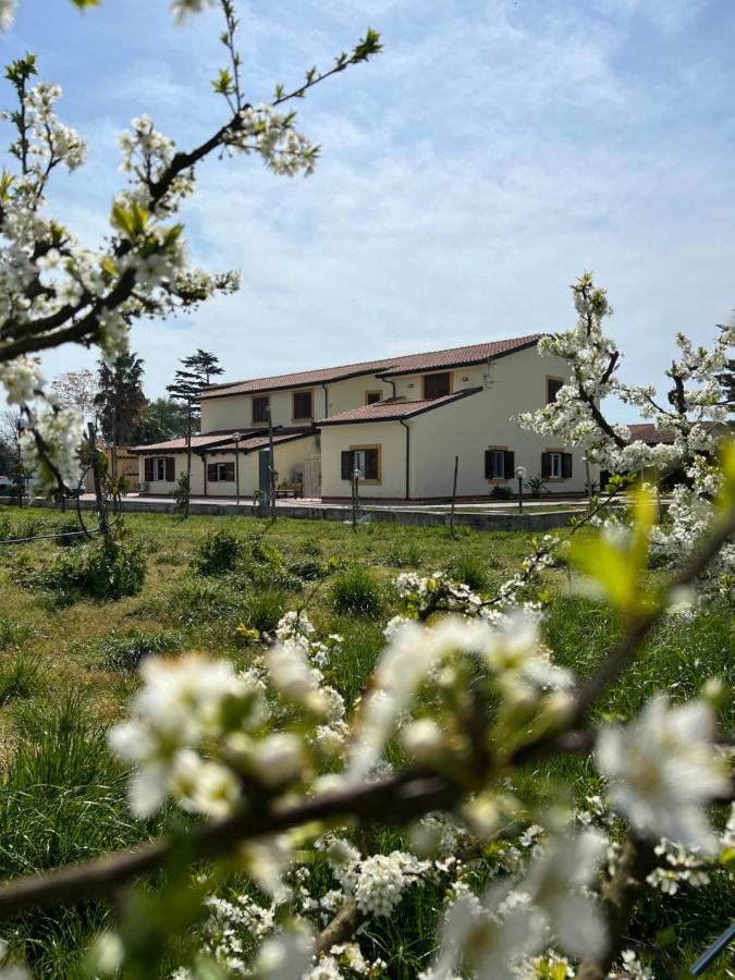 Tenuta Fasanarella - B&B Battipaglia