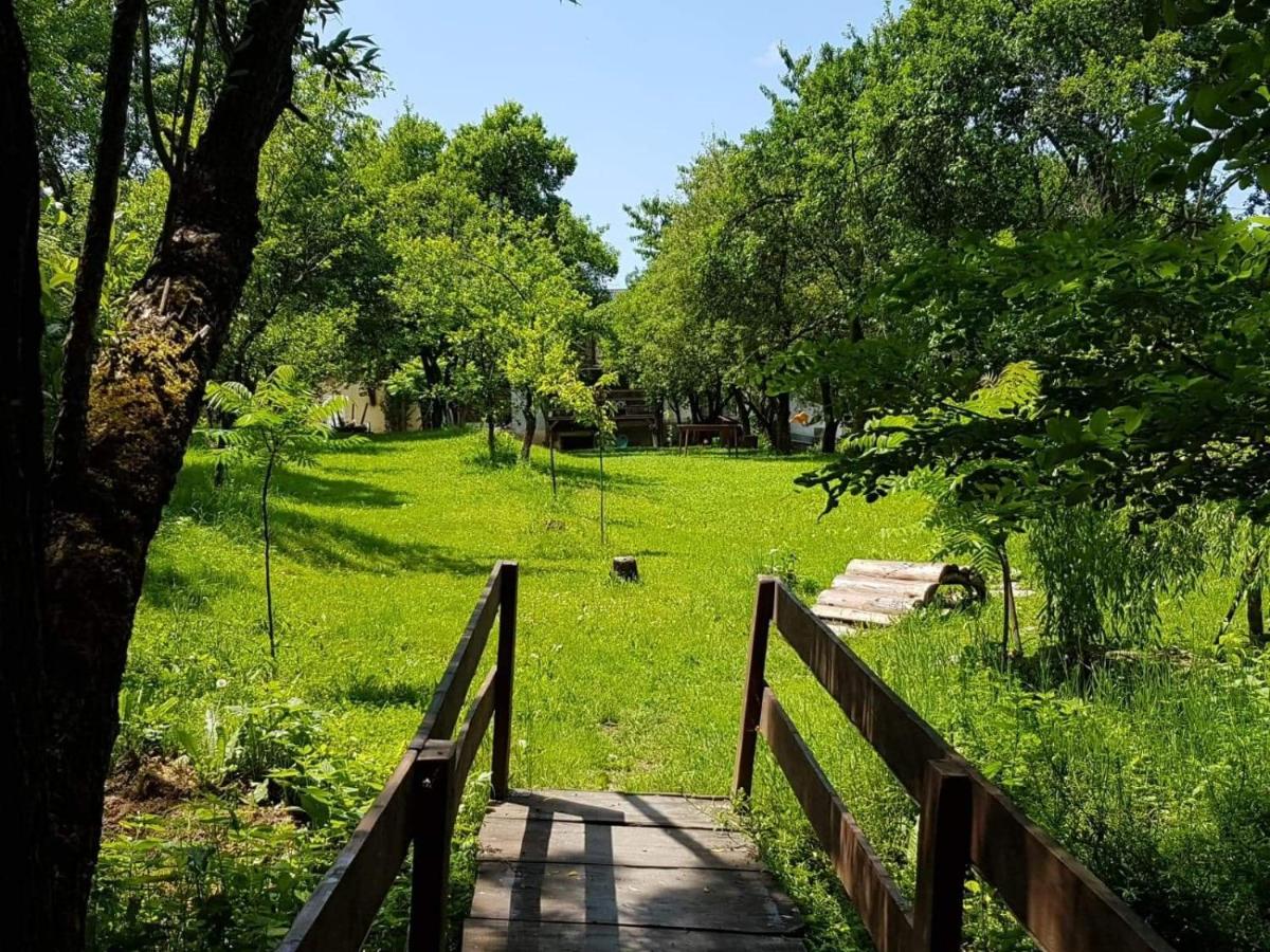 Cazare La Oana - Ferienwohnung Haţeg