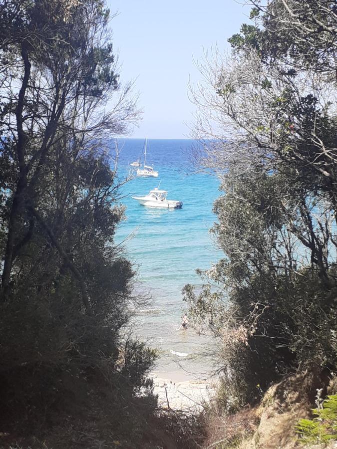 Relax, tramonti, natura e mare. Autentica Maremma - B&B Gavorrano