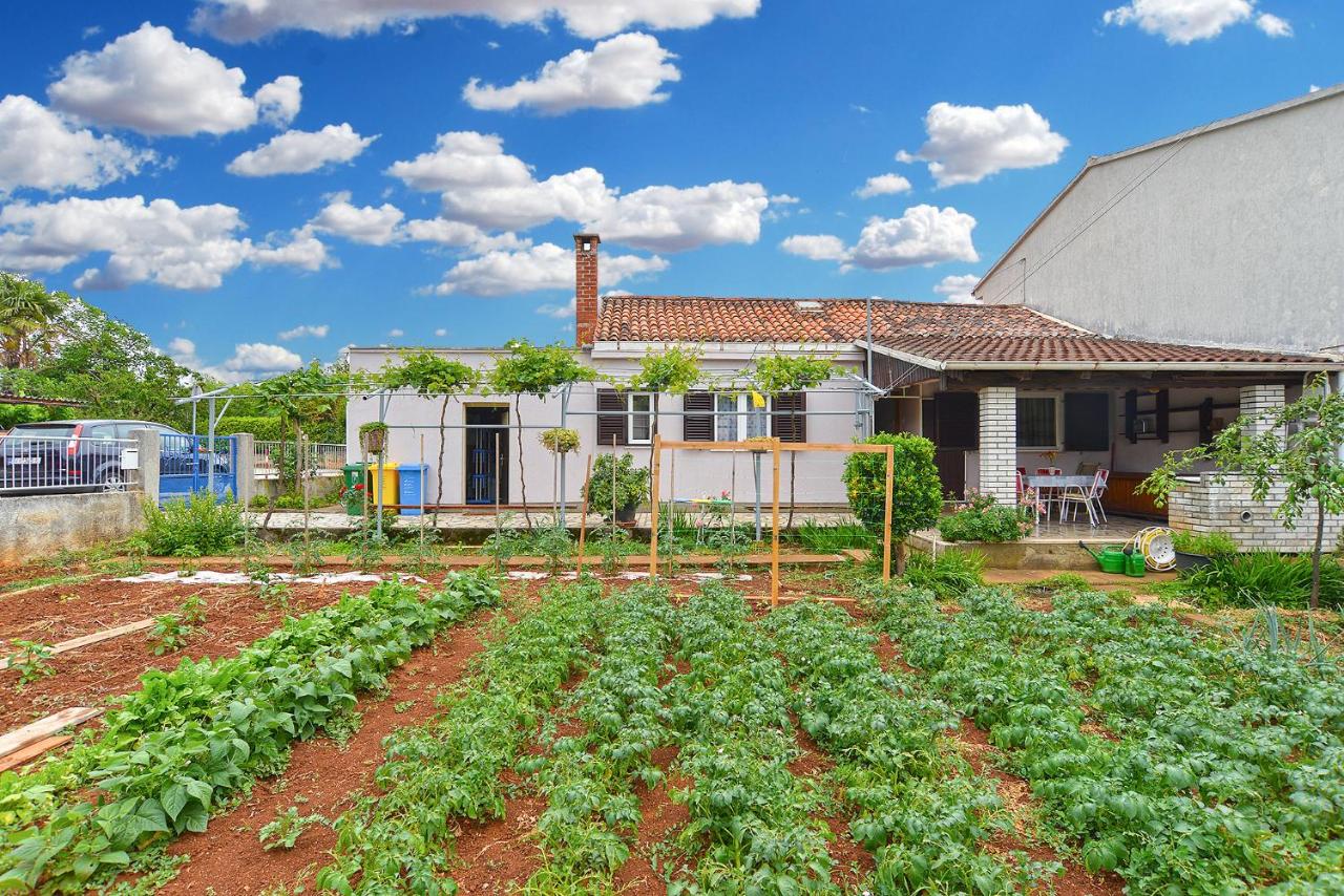 House Fazana 1456 - B&B