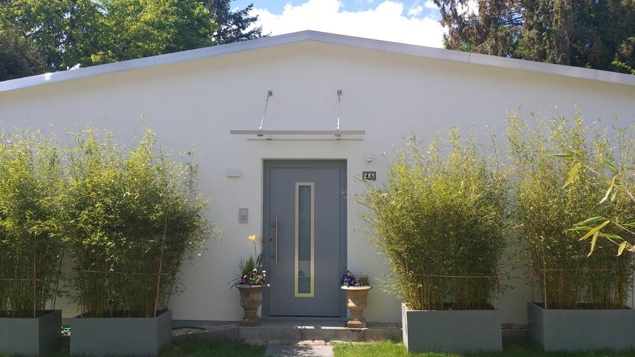 B&B Bad Homburg - Gartenchalet Rotkehlchen - Bed and Breakfast Bad Homburg