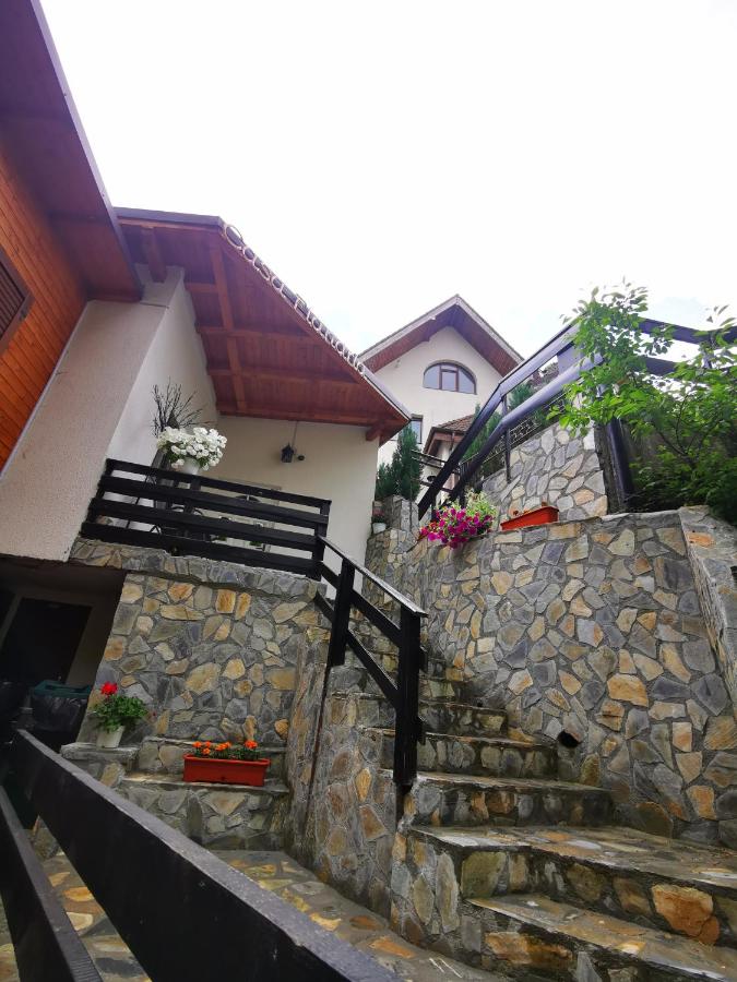 Casa Flandria - B&B