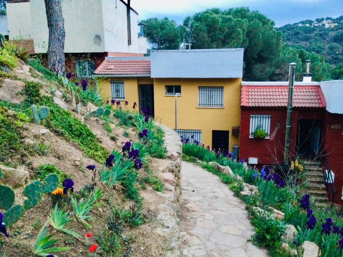La casa del pantano de San Juan - B&B