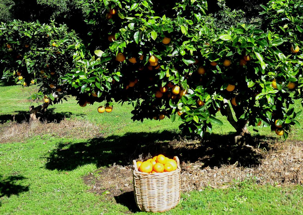 Rosecliffe Farm Cottages - B&B Bowman