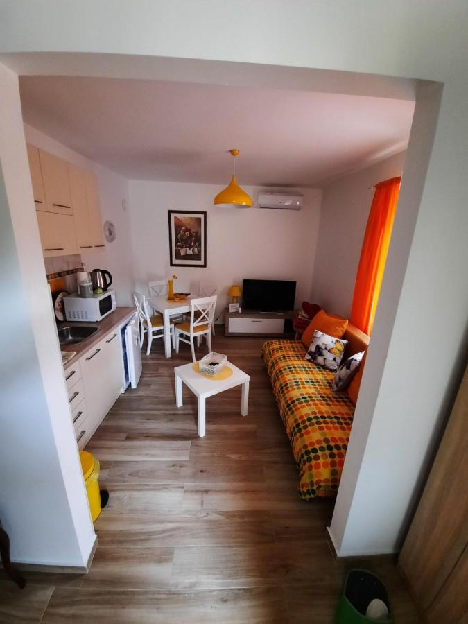 Appartement 1 Chambre