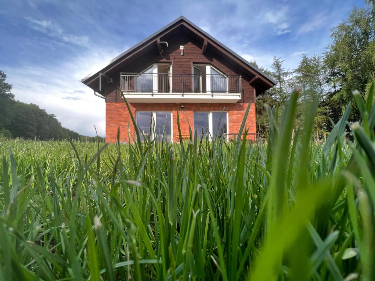 Piękna Pszczoła - Bed and Breakfast Stare Polaszki