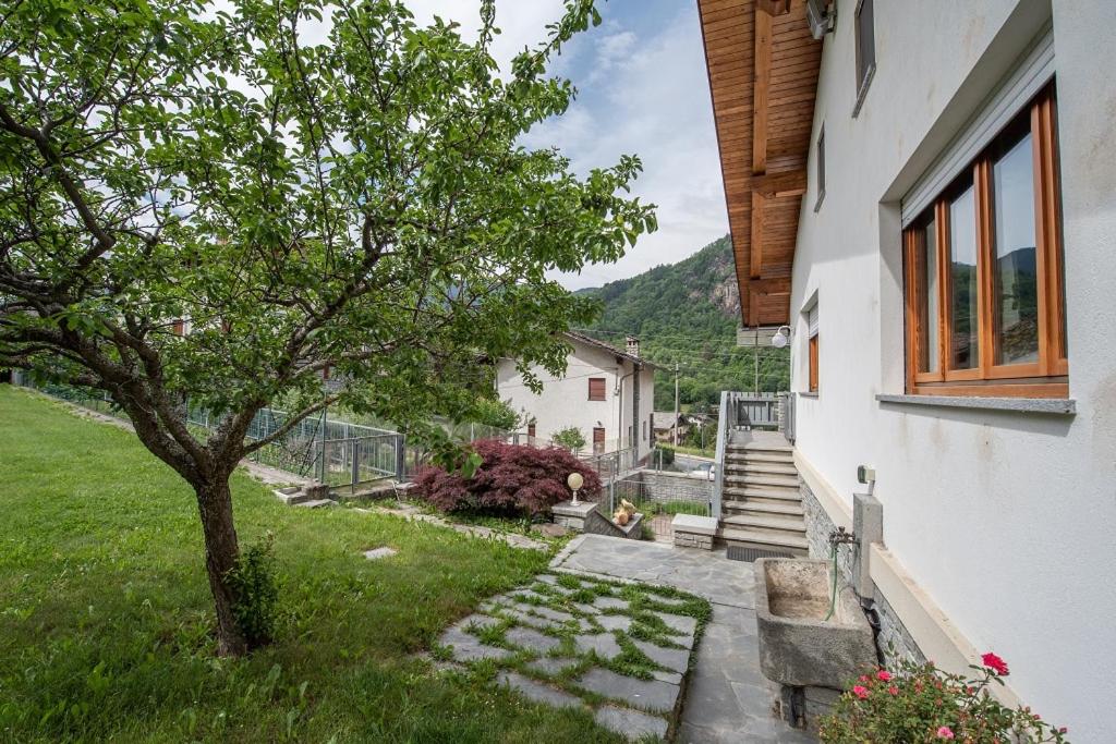 The Green Owl - B&B Antey-Saint-André