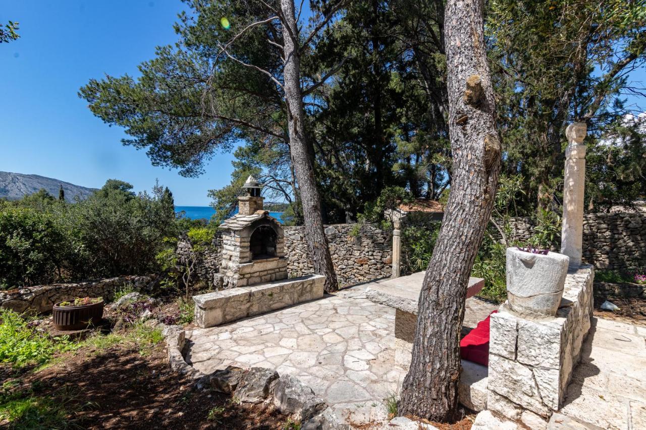 Villa Pinus - Ferienwohnung Stari Grad (Insel Hvar)