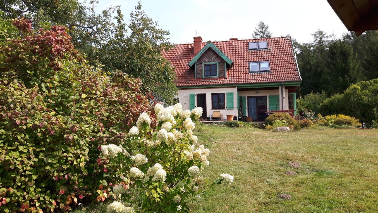 BAKUSIOWY ZAKĄTEK - B&B